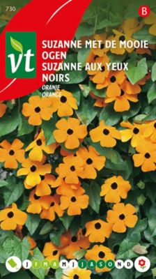 Suzanne Aux Yeux Noirs - Ca. 0,75 gr