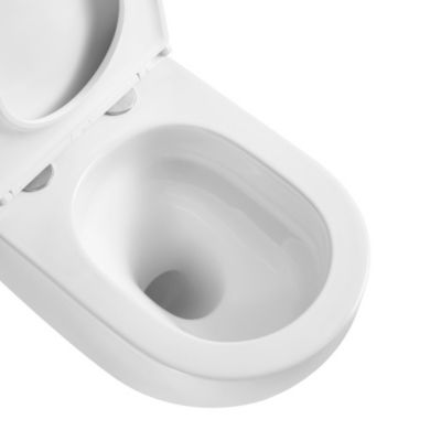 Swiss Aqua Technologies WC suspendu sans bride Tornado Quiet et fixations invisibles, abattant frein de chute (SAT67010RTORP)