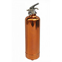 Système d’extinction d'incendie ABC 1 kg Lifebox avec manomètre cuivre