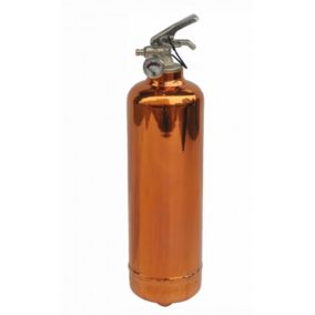Système d’extinction d'incendie ABC 1 kg Lifebox avec manomètre cuivre