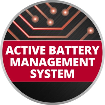 Système Double Batterie 2,5 Ah Power X-Change Einhell (Compatible avec tous les appareils Power X-Change)