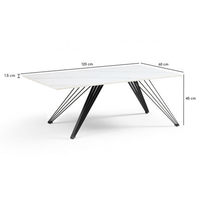 Table basse 120x60 cm céramique blanc marbré pieds filaires - NEVADA 01