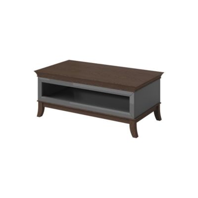 Table basse chic rectangulaire collection PALACE Coloris gris et chene foncé