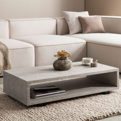 Table Basse de Salon 100 cm Grande Moderne Rangement Rectangulaire FineBuy
