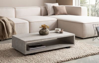 Table Basse de Salon 100 cm Grande Moderne Rangement Rectangulaire FineBuy
