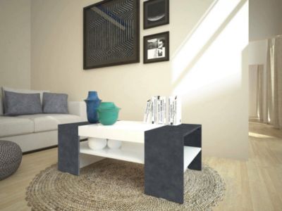 Table basse Dfort, Table basse, Porte-revues, 100% Made in Italy, 110x60h40 cm, Blanc brillant et ardoise