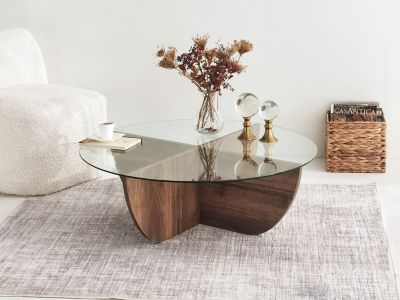 Table basse en verre trempé - Naturel foncé et Transparent - AYSUN