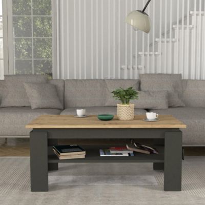 Table basse Krirdfjos 110 x 60 x 47 cm anthracite effet chêne saphir  en.casa