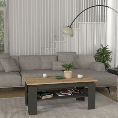 Table basse Krirdfjos 110 x 60 x 47 cm anthracite effet chêne saphir  en.casa