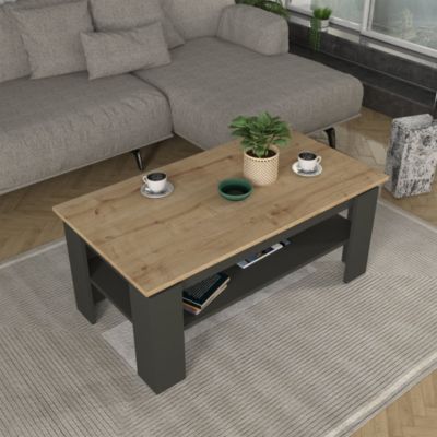 Table basse Krirdfjos 110 x 60 x 47 cm anthracite effet chêne saphir  en.casa