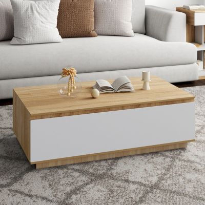 Table basse TOMI 110 cm avec porte façon hêtre et blanc