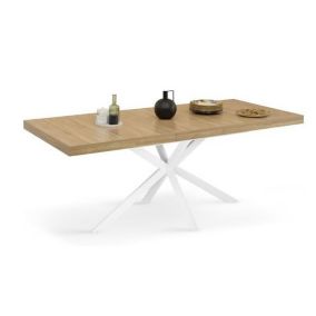 Table à Manger Extensible Rectangle 6-10 Personnes Bois et Blanc 160-200 cm