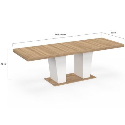 Table à manger extensible rectangle ELIAD 8-12 personnes bois et blanc 200-250 cm