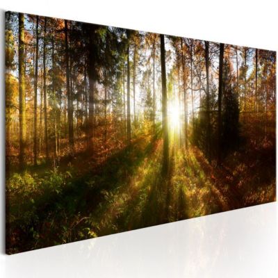 Tableau Beautiful Forest 135x45 cm