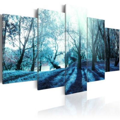 Tableau déco Blue glade 100x50 cm