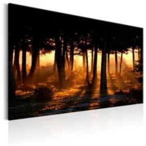 Tableau déco Forest Dawn 90x60 cm