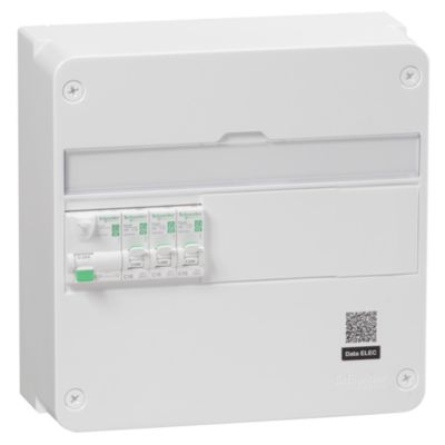 Tableau électrique pré-équipé et pré-câblé 1 rangée 13 modules Schneider Electric Resi9 XE