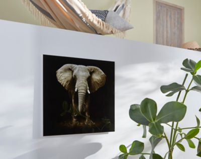 Kit 5 Tableaux Toile Imprimée Éléphant Afrique - 110x60 Cm - EL-10