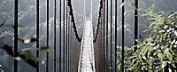Tableau en verre Pont de singe 50 x 125 cm