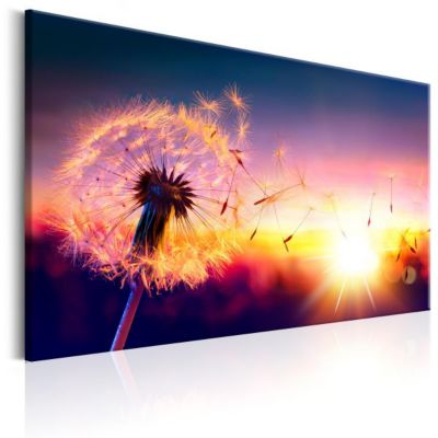 Tableau Fleurs Freedom of Nature 90x60 cm