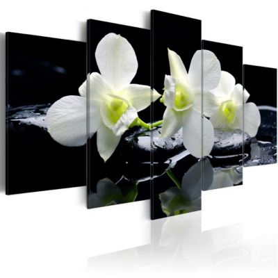 Tableau Fleurs Melancholic orchids 100x50 cm