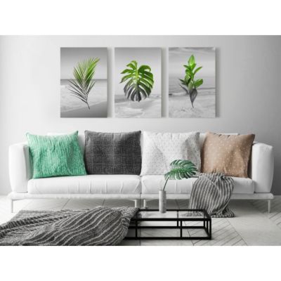 Tableau Fleurs Plants (Collection) 60x30 cm