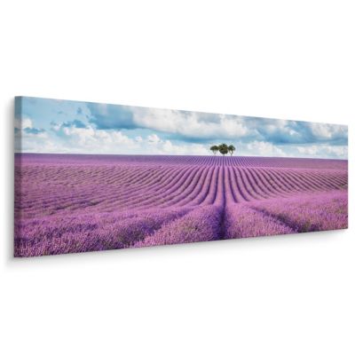 Tableau Panorama Champ de Lavande 3D 145cm x 45cm - Parfait pour ...