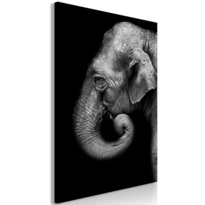 Kit 5 Tableaux Toile Imprimée Éléphant Afrique - 110x60 Cm - EL-10