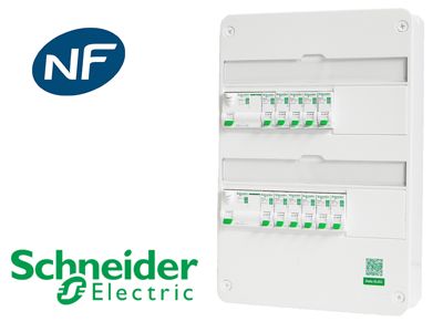Tableau précâblé 10 disj + 2 ID Schneider Resi9 XP à vis