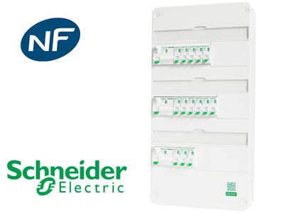 Tableau précâblé 14 disj + 3 ID Schneider Resi9 XP à vis