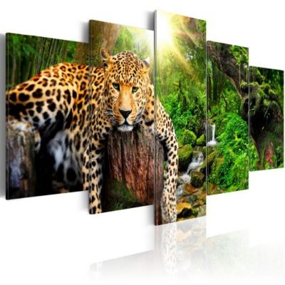 Tableau Predator's Relaxation 100x50 cm