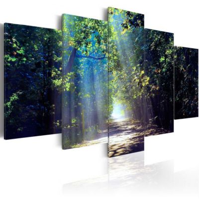 Tableau Sunny Forest Path 100x50 cm