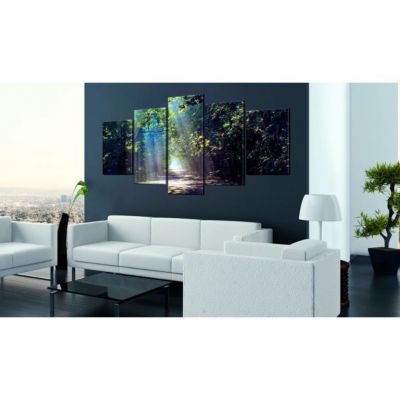 Tableau Sunny Forest Path 100x50 cm