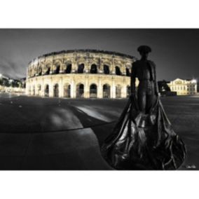 Tableau sur toile arènes de nîmes 45x65 cm - Fabriqué en France