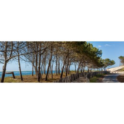 Tableau sur toile arbres d'arcachon 30x97 cm Fabriqué en France