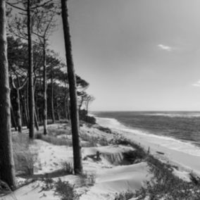 Tableau sur toile bassin d'arcachon noir et blanc 45x45 cm - Fabriqué en France