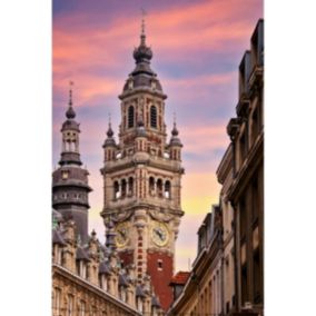 Tableau sur toile beffroi du palais de la bourse de lille 45x65 cm - Fabriqué en France