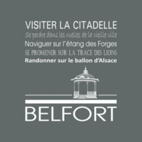 Tableau sur toile belfort gris 30x30 cm - Fabriqué en France