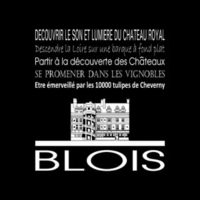 Tableau sur toile blois noir 30x30 cm - Fabriqué en France