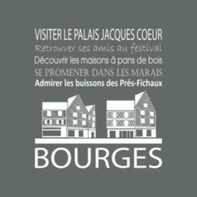 Tableau sur toile bourges gris 30x30 cm - Fabriqué en France