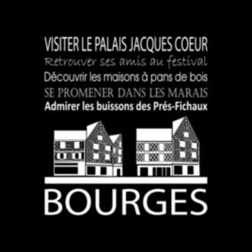 Tableau sur toile bourges noir 30x30 cm - Fabriqué en France