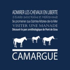 Tableau sur toile camargue navy 30x30 cm - Fabriqué en France