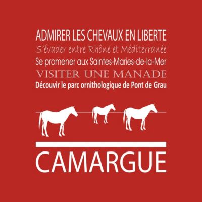 Tableau sur toile camargue rouge 30x30 cm Fabriqué en France | Castorama