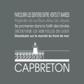 Tableau sur toile capbreton gris 30x30 cm - Fabriqué en France