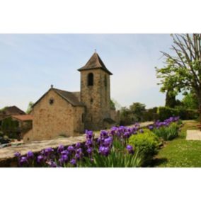 Tableau sur toile capdenac village 65x97 cm - Fabriqué en France