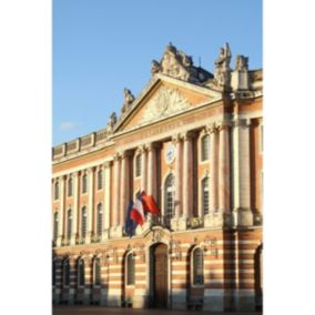 Tableau sur toile capitole toulouse 45x65 cm - Fabriqué en France