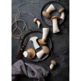 Tableau sur toile champignons 45x65 cm - Fabriqué en France