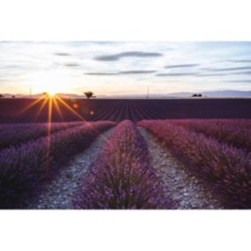 Tableau sur toile champs de valensole soir 30x45 cm - Fabriqué en France