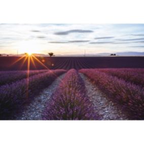 Tableau sur toile champs de valensole soir 45x65 cm Fabriqué en France