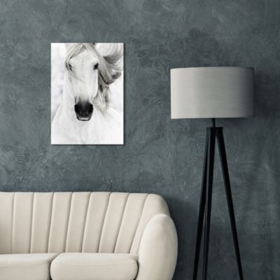 Tableau sur toile cheval blanc l.55 x H.75 cm Dada Art